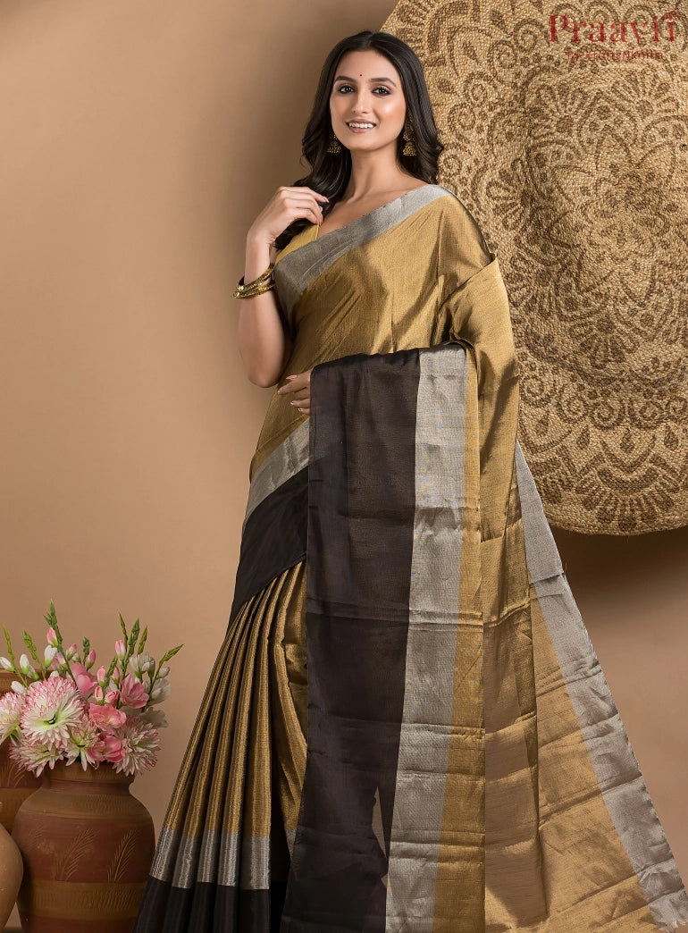 Black and Gold Chanderi Tissue Saree