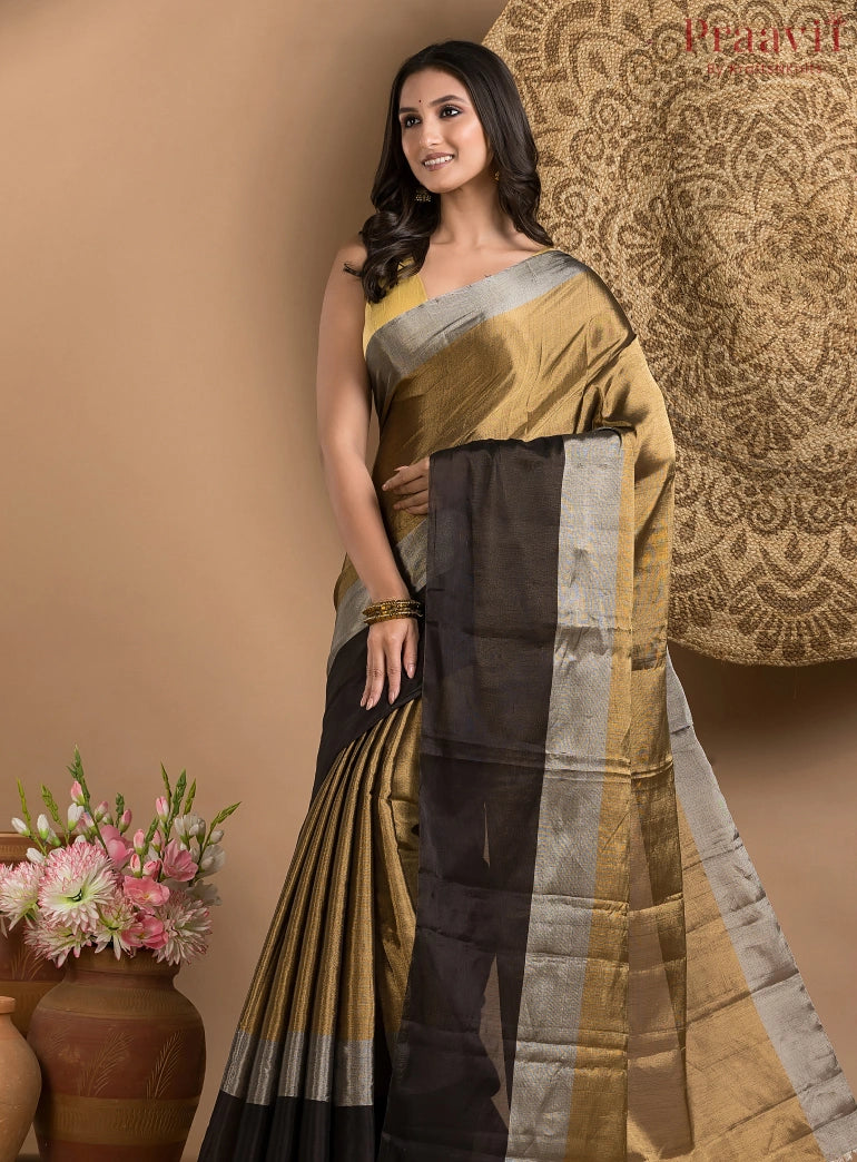 Black and Gold Chanderi Tissue Saree