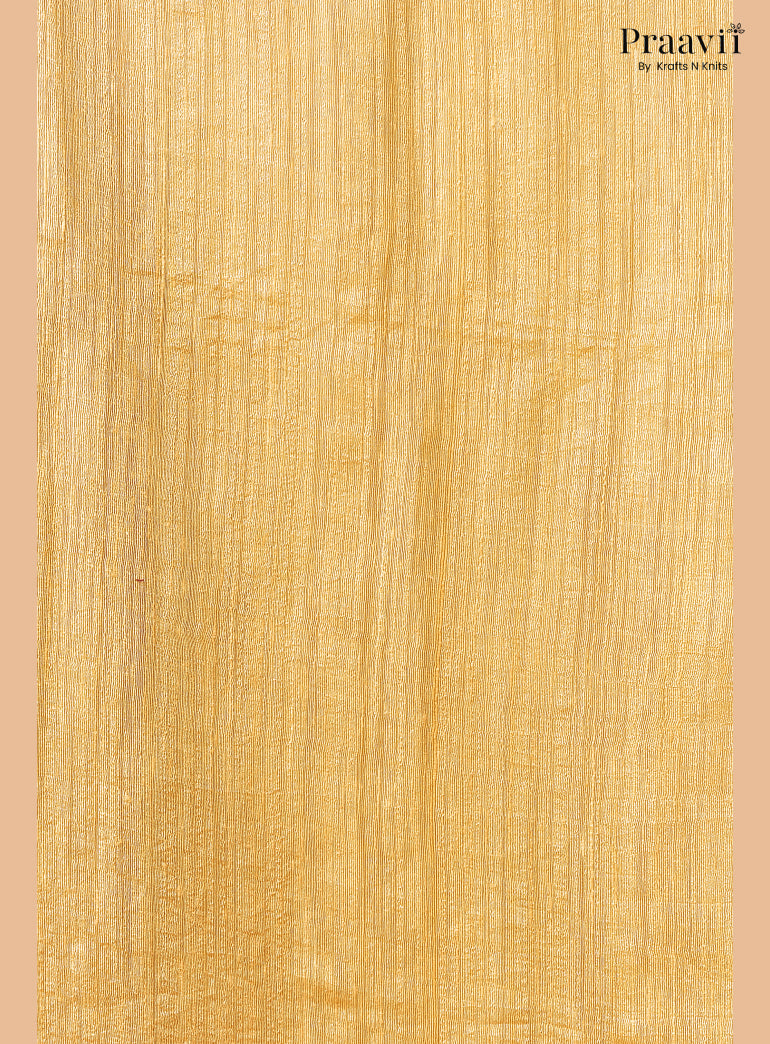 Light Brown Muslin Pocket Sequin Saree