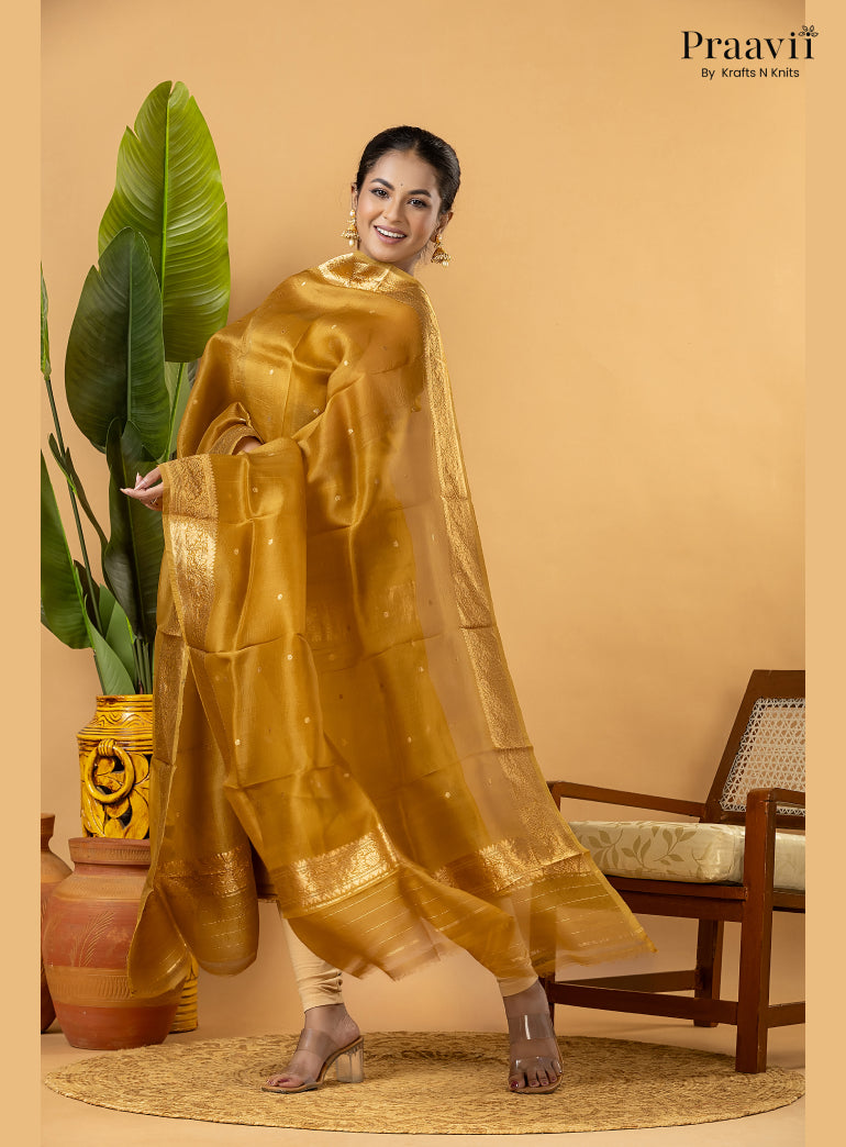 Lime Gold Pure Banarasi Silk Suit Set