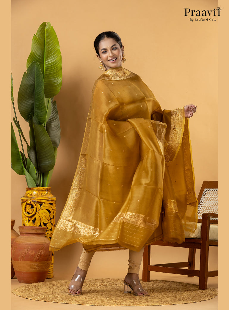 Lime Gold Pure Banarasi Silk Suit Set