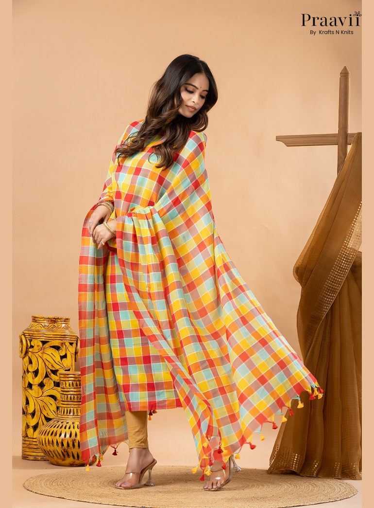 Multicolour Pure Cotton Checks 2-Piece Suit Set