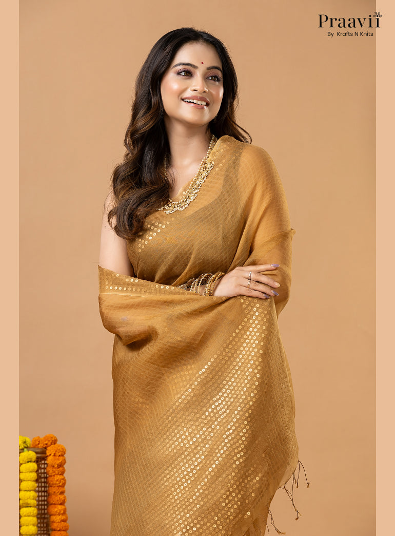 Light Brown Muslin Pocket Sequin Saree