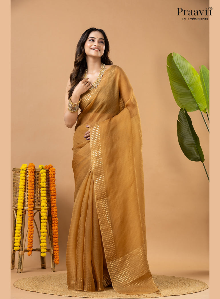 Light Brown Muslin Pocket Sequin Saree