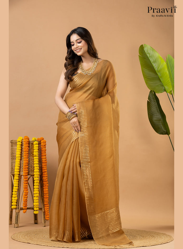 Light Brown Muslin Pocket Sequin Saree