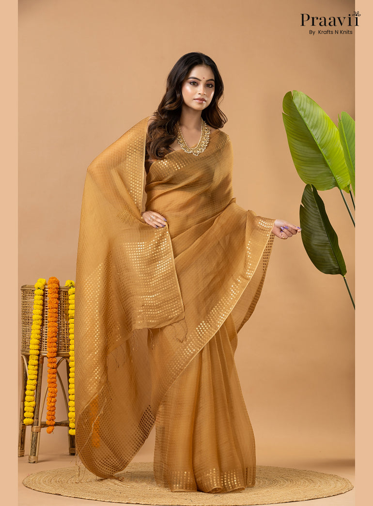 Light Brown Muslin Pocket Sequin Saree