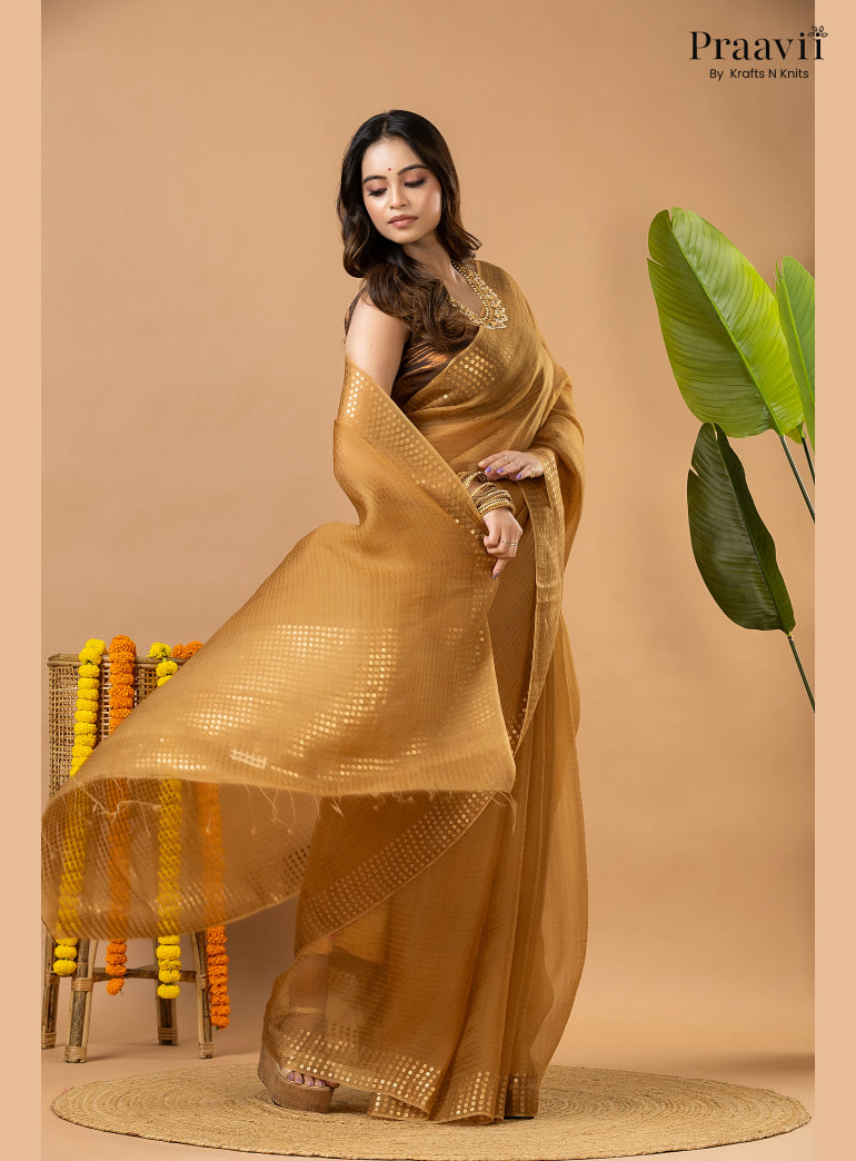 Light Brown Muslin Pocket Sequin Saree