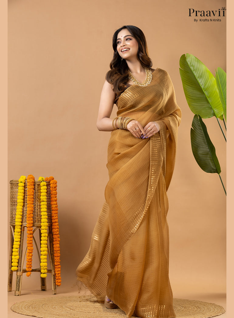 Light Brown Muslin Pocket Sequin Saree