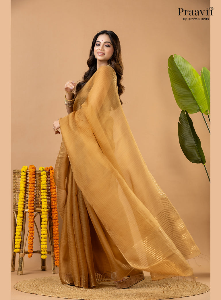 Light Brown Muslin Pocket Sequin Saree