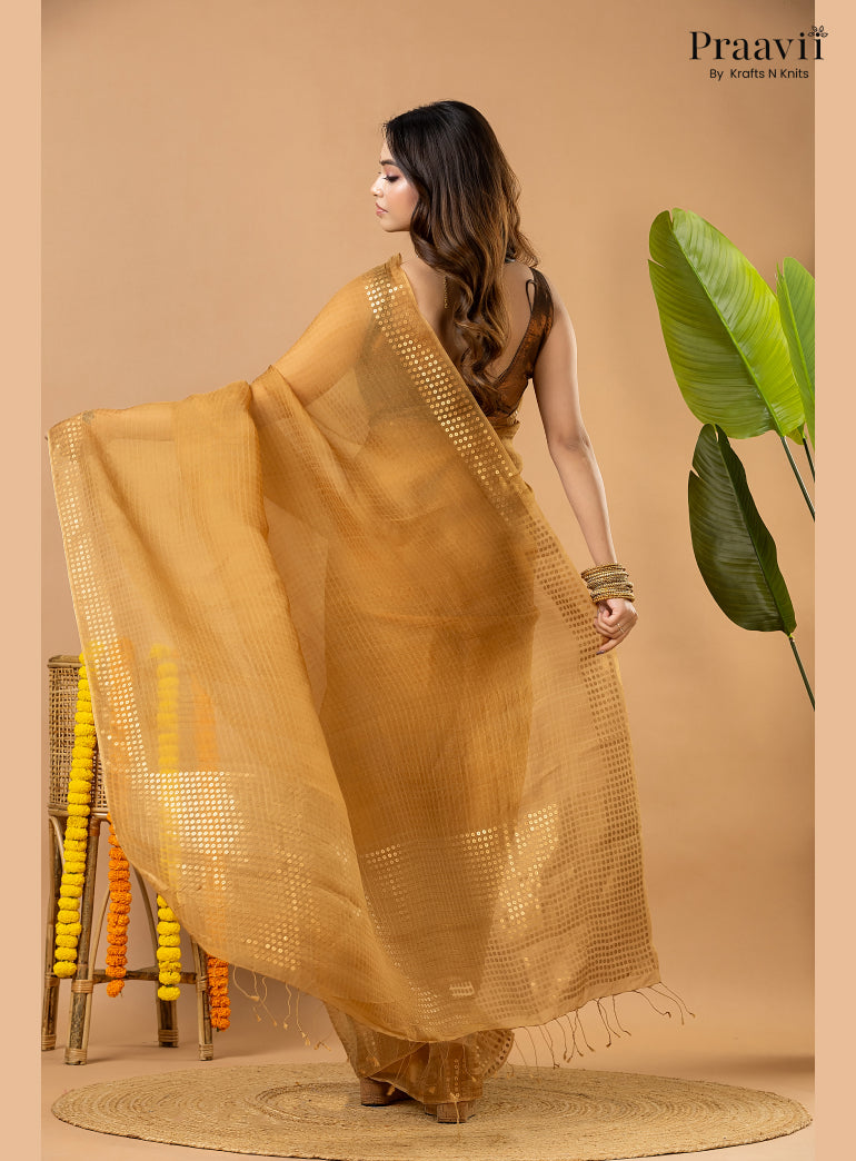 Light Brown Muslin Pocket Sequin Saree