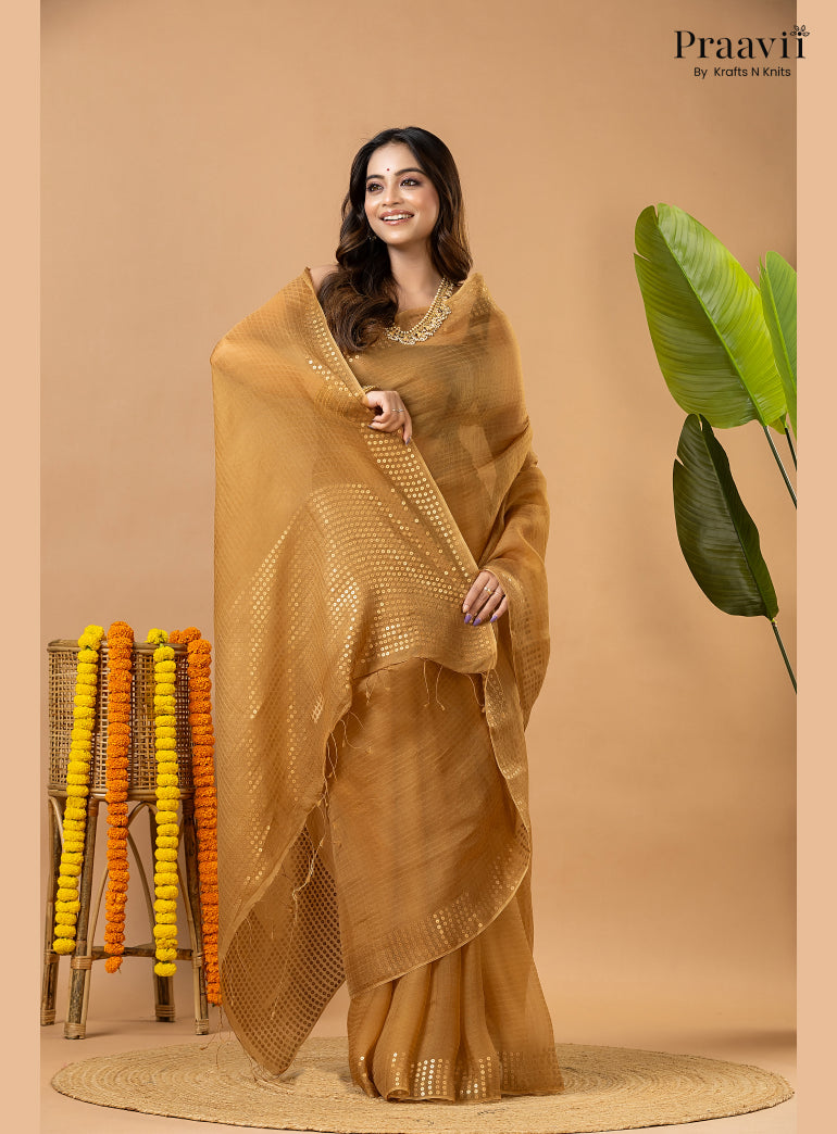 Light Brown Muslin Pocket Sequin Saree